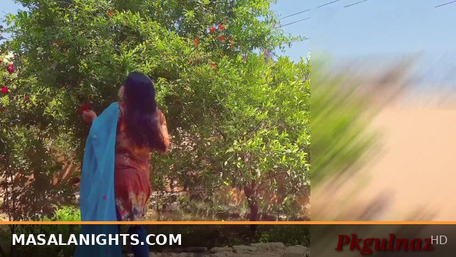 Desi Stepsister and Stepbrother Hardcore Fucking in the Park